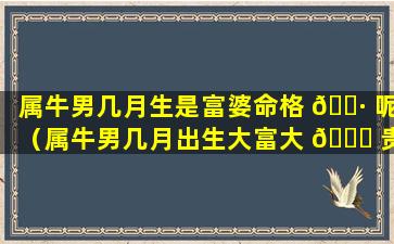 属牛男几月生是富婆命格 🌷 呢（属牛男几月出生大富大 🍁 贵2021）